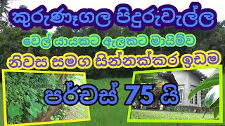 Kurunagala Idam gewal බොකර් කෙනෙක් නැතිව ගන්න Lassana Lanka Propertyidamsir lanka [upl. by Ayhtnic]