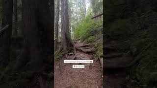 Monashee park 🤩 hiked to spectrum lake to camp monashee spectrumlake bchike backpacking acking [upl. by Arised]