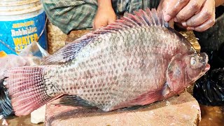 Fishermen know how to cutfishivery nicelyCutting In Bangladesh Fish M arket  Fi Tilapia fish [upl. by Cirded660]