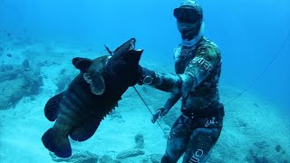 Hawaii Spearfishing  Of Man And Sea [upl. by Melvin]