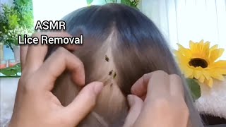 ASMR Scalp Check and lice Removal  No Talking 😴💤🥱 [upl. by Aneeg774]