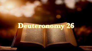 Bible Reading⎜Deuteronomy 26 [upl. by Lukash51]