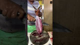 How To Cut Fish With Knife At Home  Tuna Fish Market [upl. by Lanahtan]