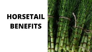 Health Benefits Of Horsetail [upl. by Azyl283]