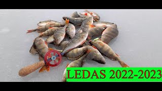 Pagaliau  Pirmas ledas 20222023 Avižėlėbalansyras [upl. by Aoh]