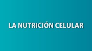 NUTRICIÓN CELULAR en 1 minuto [upl. by Goles149]