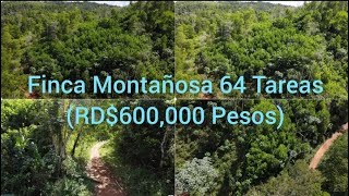 Finca de 35 tareas Ecológica con un Arroyo y Sembrada de Cacao en Sabana Grande de Boya [upl. by Ahseya]