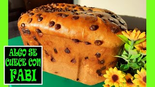 ¡BRIOCHE CASERO CON LA PANIFICADORA DEL LIDL ¡CON PEPITAS DE CHOCOLATE ¡EL MEJOR QUE HE PROBADO 🤩 [upl. by Blisse906]