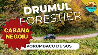 Drumul forestier Cabana Negoiu Cariera de Marmura Porumbacu [upl. by Nart]