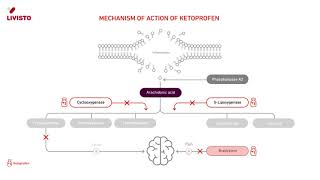 How does ketoprofen work [upl. by Bowden469]