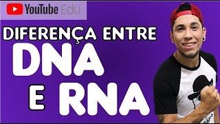 Aula 29 Diferenças entre DNA e RNA  Biologia com Patrick Gomes [upl. by Leonanie]