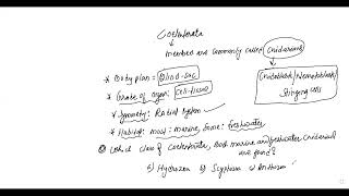 L2 ON COELENTERATA BY KN SIR [upl. by Cthrine]