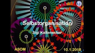 Selbstorganisation [upl. by Nniuqal]