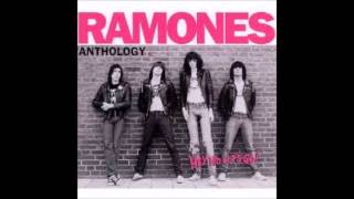 Ramones  quotNeedles amp Pinsquot  Hey Ho Lets Go Anthology Disc 1 [upl. by Jonati442]