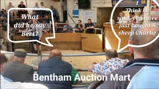 The fastesttalking auctioneer in Britain [upl. by Nellaf]