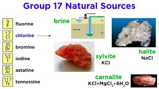 Periodic Table Part 8 Halogens F Cl Br I At Tn [upl. by Agneta]