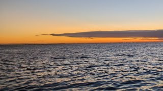 geelong waterfront Sunrise 🌞 [upl. by Atikcir]