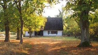 Osada Pąchy  piękne działki rekreacyjne na sprzedaż w Wielkopolsce [upl. by Notsgnal476]