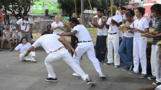 CAPOEIRA ANGOLA DA BAHIA [upl. by Hsihsa]