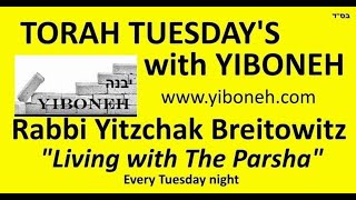 Rabbi Yitzchak Breitowitz Increase the Light by Separating Religion from the State [upl. by Bass]