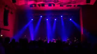 Iggy Pop  Nightclubbing HD 2022 live  Liederhalle  Stuttgart [upl. by Kee128]