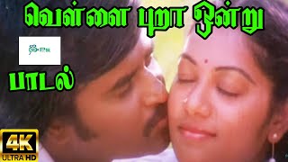 வெள்ளை புறா ஒன்று  Vellai Pura Onru Duet K J Yesudas S JanakiLove Duet Melody Song [upl. by Kachine]