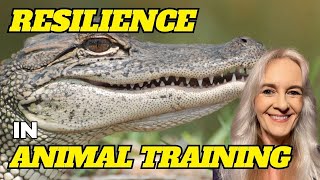 An Exploration Of Resilience In Animal Training [upl. by Nocaed]