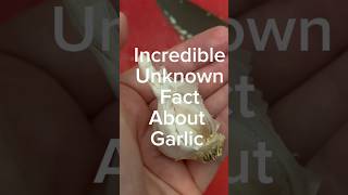 Garlic Hacks that Everyone Should Know shorts cooking foodismedicine [upl. by Ttevy330]