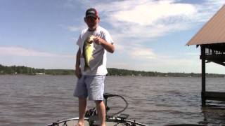 Bass Fishing Gantt Lake With A Bladed Jig [upl. by Anyer]