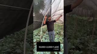 My secret to profitable farming is my jugaad polyhouse [upl. by Perkin222]