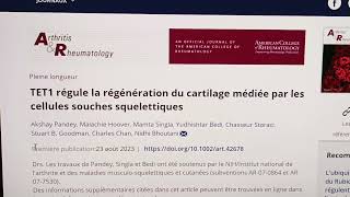 Plus de cellules souches pour mieux régénérer ses cartilages [upl. by Ennaylil]