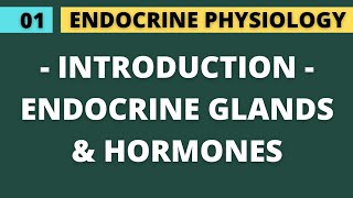 01 INTRODUCTION TO ENDOCRINE GLANDS AND HORMONE  ENDOCRINE PHYSIOLOGY [upl. by Calica]