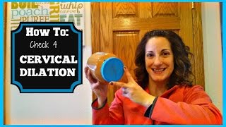 How to Check Cervical Dilation  Vaginal Exam [upl. by Umeko]