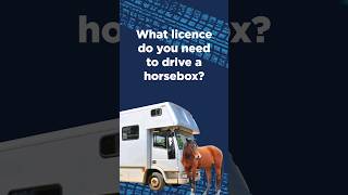 🐴 What HGV licence do I need for a horsebox 🚚 hgv hgvdriver horsebox [upl. by Burnsed568]