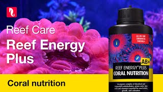 Red Sea Reef Energy Plus  Complete allinone Coral Food [upl. by Lavicrep337]