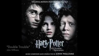 quotThe Beautiful Music of the Harry Potter Seriesquot [upl. by Annyrb]