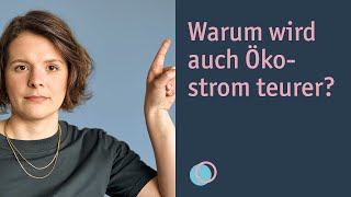 Wie funktioniert die Strombörse Merit Order und Preisbildung [upl. by Sirron]