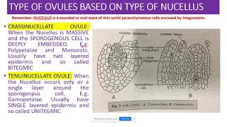 Lecture 4 30072020 Types of Ovule Based on Nucellus by Dr Prashant Pant Govt College Daman [upl. by Rauscher411]