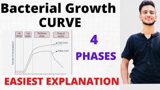 BACTERIAL GROWTH CURVE MICROBIOLOGYCurve of bacterial growth [upl. by Gresham]