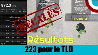 223 Rem pour le TLD  Pour tirer de 100m à 600m les résultats  33 [upl. by Worrad]