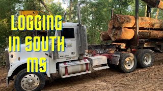 Logging in South Mississippi a week of Logtruck driving [upl. by Leviram]