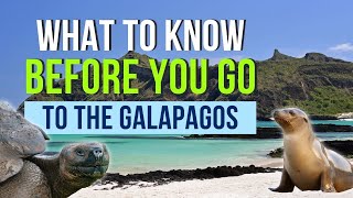 15 Things You Should Know Before You Go to the Galapagos Islands [upl. by Ttegirb]