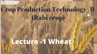 CROP PRODUCTION TECHNOLOGY  Rabi Crop  Lecture 1Wheat गेहूँ  Go Agro [upl. by Hamish]