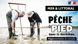 Littoral  Pêche à pied  Réglementation et conseils de prudence des Affaires maritimes [upl. by Eirelam]