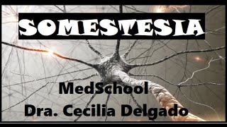 SOMESTESIA Tacto  RECEPTORES TACTILES  Neurofisiología  Dra Cecilia Delgado [upl. by Gerita]