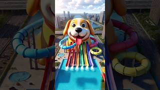 🐶 Evolution of Dog  Waterboom Playground ❤️ Dog Evolution ✅ shorts dog cute puppy [upl. by Eirrab]