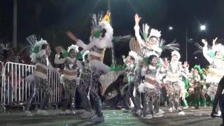 carnaval Tampico 2017 comparsa infantil africa [upl. by Eesac]