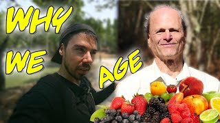 Why Fruitarians Age So Quickly The Glycation Effect [upl. by Patsis151]