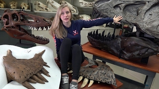 Dissecting with Emily  Tyrannosaurus rex holotype  Maxillary Mysteries [upl. by Affra778]