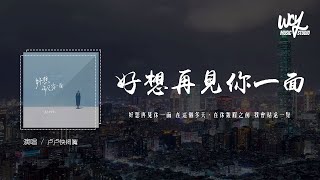 卢卢快闭嘴  好想再见你一面「好想再见你一面 在这个冬天，在你皱眉之前 我会站远一点」4k Video【動態歌詞pīn yīn gē cí】卢卢快闭嘴 好想再见你一面 動態歌詞 [upl. by Julissa]